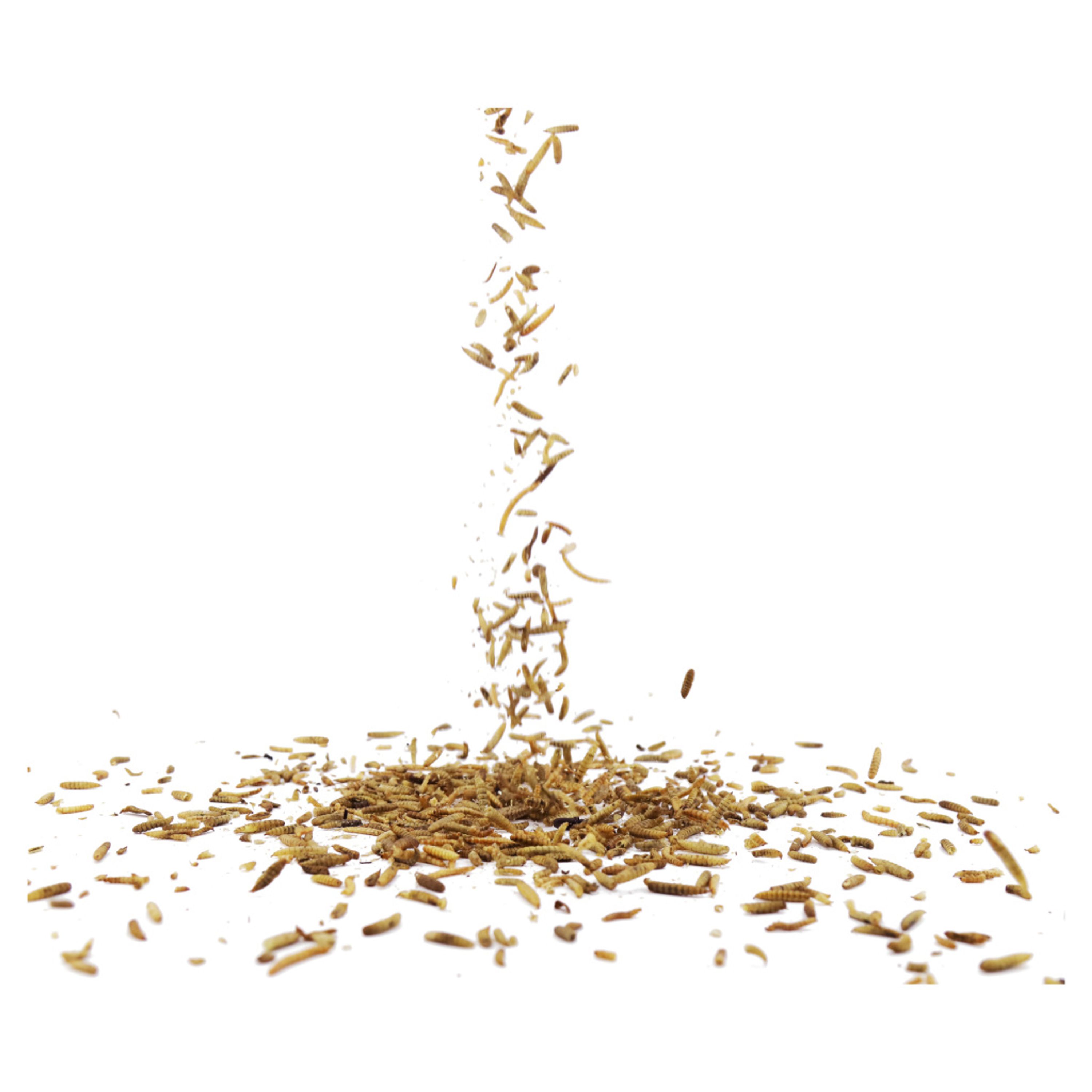 Eimer mit proteinreichem getrockneten Insekten-Mix 700 g | Vogelfutter | CJ Wildlife